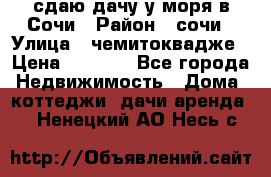 сдаю дачу у моря в Сочи › Район ­ сочи › Улица ­ чемитоквадже › Цена ­ 3 000 - Все города Недвижимость » Дома, коттеджи, дачи аренда   . Ненецкий АО,Несь с.